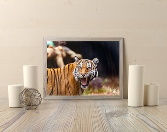 Majestic and Menacing: The Snarling Tiger Print - Wildlife Art