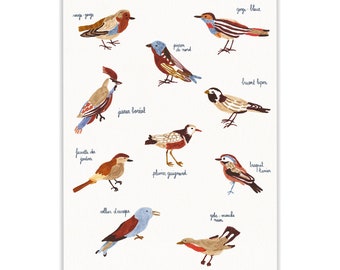 les oiseaux - illustration A3 - print - affiche décorative