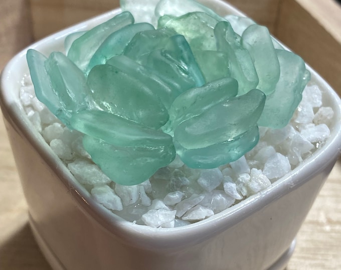 Sea glass Succulent