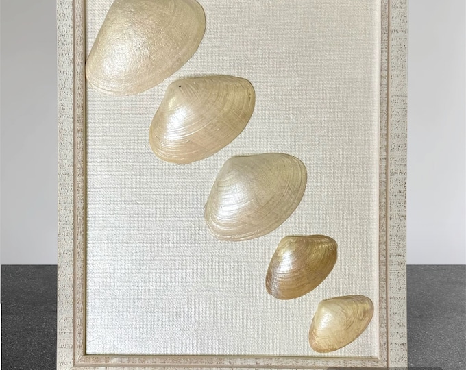 Sea shell art work