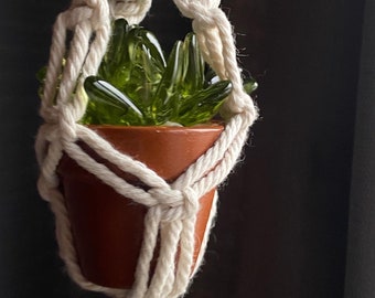 Sea Glass Succulent in 1” clay terracotta pot with optional macramé plant hanger!