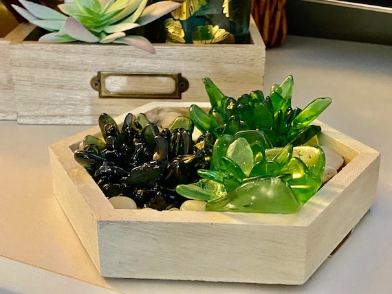 Sea Glass Succulent Dish - Etsy Hong Kong