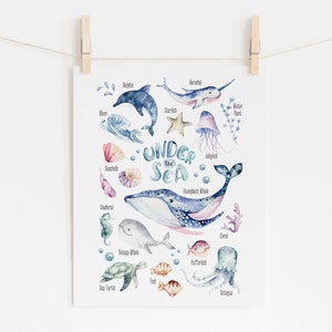 Affiche d’art mural d’animaux marins, impression éducative, animaux de l’océan, décoration murale de chambre d’enfant, art mural de salle de jeux, apprentissage Montessori, affiches de classe