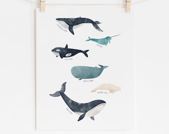 Whale Nursery Print, Ocean Animals Wall Art, Boys Room Posters, Nautical Theme Nursery Decor, Montessori Wall Art