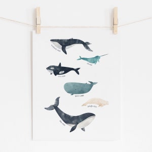 Impression de chambre de bébé baleines, art mural animaux de l'océan, affiches de chambre de garçons, décoration de chambre d'enfant sur le thème nautique, art mural Montessori