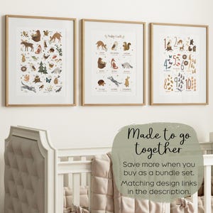 May include: Three framed prints with a woodland theme. The first print features a variety of animals and plants with their names listed below. The second print features a deer, owl, squirrel, and other animals with the text "Today I will" at the top. The third print features numbers 1 through 10 with illustrations of animals and plants.