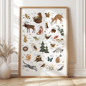 Impression alphabet pour chambre d'enfant sur le thème des bois avec des animaux de la forêt, affiches éducatives pour enfants, art mural Montessori