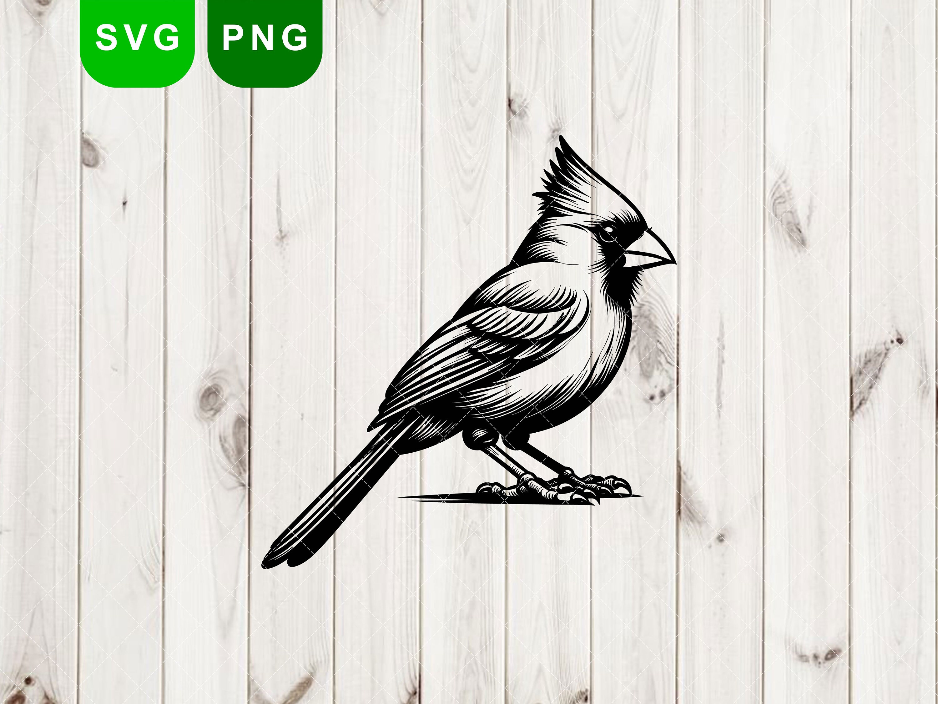 Cardinal SVG, Cardinal PNG, Cardinal Clipart, Cardinal Silhouette ...