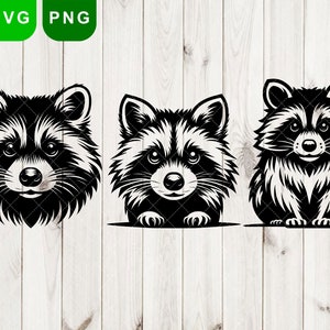 Rocconon bundle svg, png, Raccoon Svg, racoon Svg, Cute Raccoon svg, Raccoon Vector Cutfile png Pdf svg jpg, Scavenger Animal Clipart Tattoo