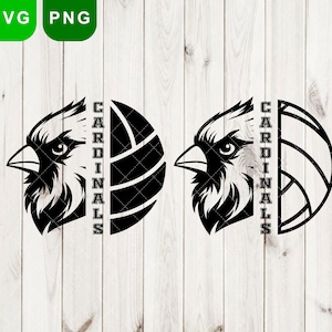 Cardinals Volleyball svg, Cardinals svg & png, Cardinal svg, Volleyball png, Cardinals mascot svg, volleyball T-shirt svg, Cut Files Cricut