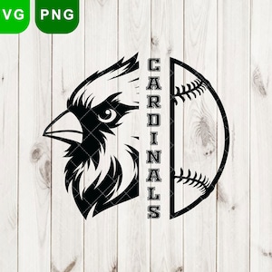 Cardinals Baseball svg, Cardinals svg & png, Cardinal svg, Cardinals school svg sports, Cardinals mascot svg, Bird svg, Cardinals logo png,