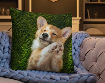 Featured image of post Anime Corgi Body Pillow / Hot promotions in anime body pillow on aliexpress: