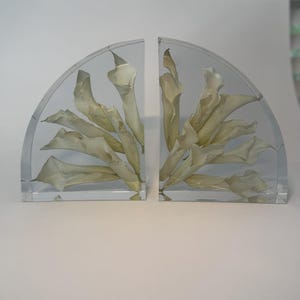 May include: Two clear, semi-circular bookends with dried, cream-colored flowers encased within. The bookends are made of a transparent material, allowing the flowers to be visible. The flowers are arranged to create a decorative display.