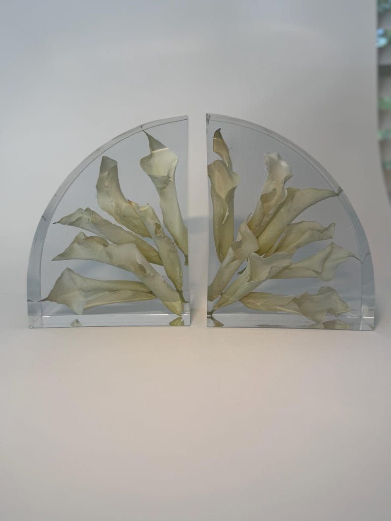May include: Two clear, semi-circular bookends with dried, cream-colored flowers encased within. The bookends are made of a transparent material, allowing the flowers to be visible. The flowers are arranged to create a decorative display.