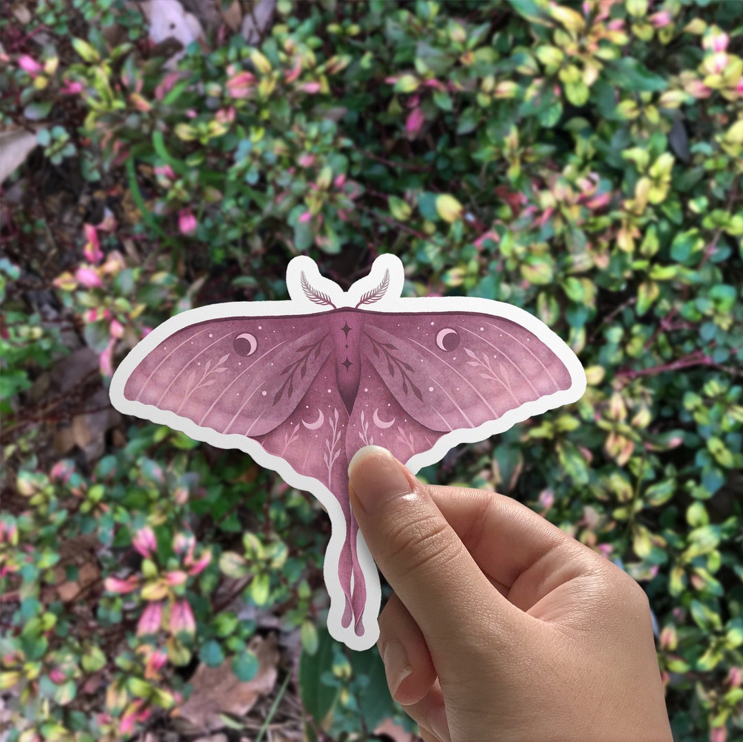 Pink Luna Moth Die-cut Stickers, Nocturnal Moon Moth Sticker, Wicca ...