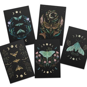 Magical Moth Card Pack of 5, Assorted Illustration Cards, 4"x6" Sizes,  Mystical Nature Card, Flora and Fauna, Witchcraft, Wicca