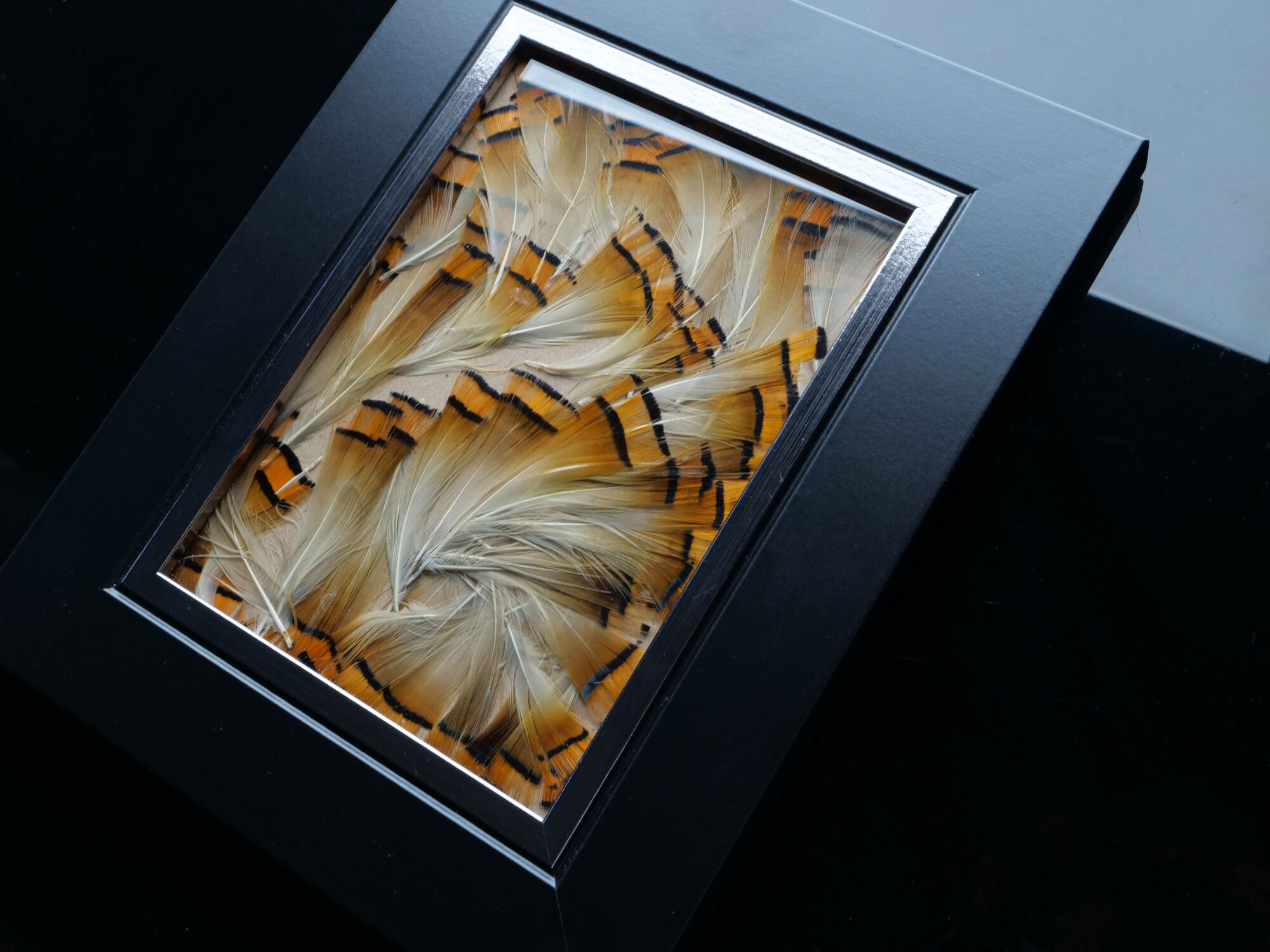 Cadre Élégant de Plumes Naturelles