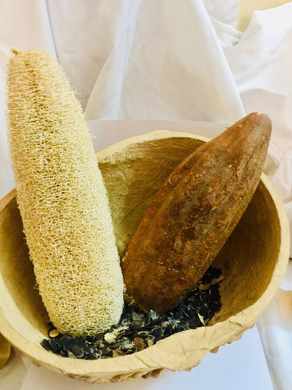 Organic Luffa Seeds Luffa Gourd Seed for Planting NonGMO