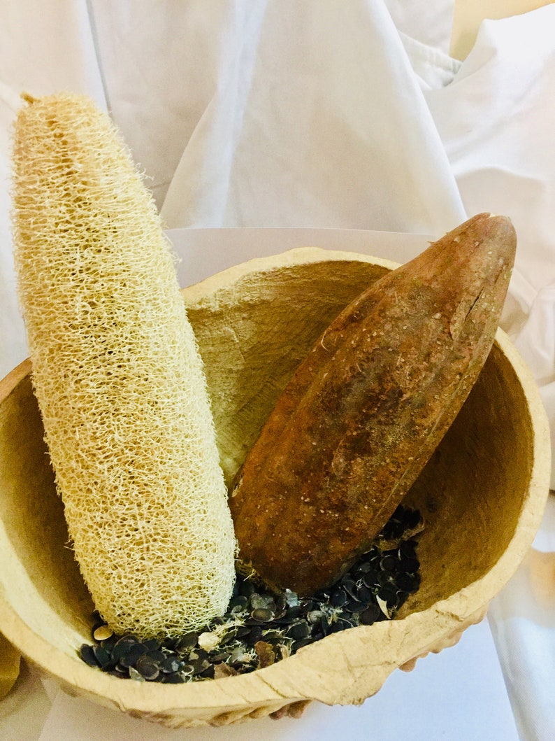 Giant Wild Luffa Seeds african Luffa Gourd Seed for Planting Etsy