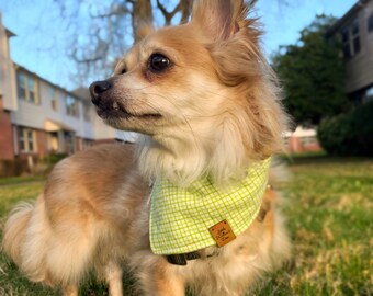 Lama and cactus bandana Single layer flannel bandana for dogs and cats Desert themed tied bandana.
