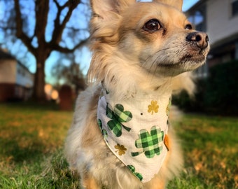 Lama and cactus bandana Single layer flannel bandana for dogs and cats Desert themed tied bandana.