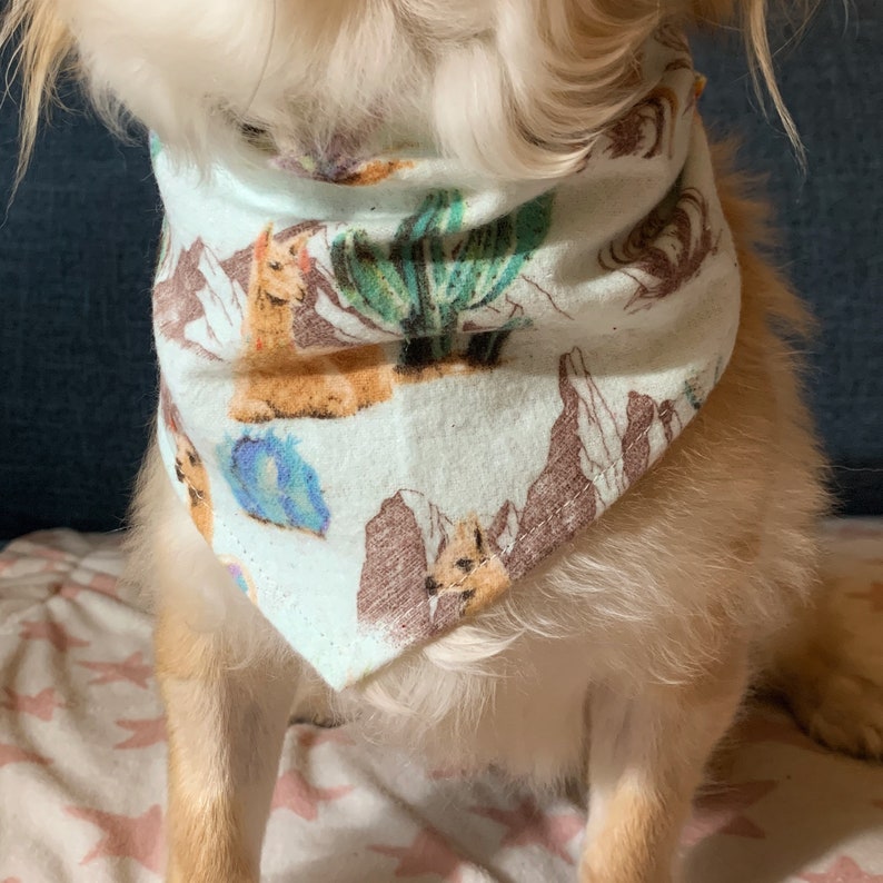 Lama and cactus bandana Single layer flannel bandana for dogs and cats Desert themed tied bandana.