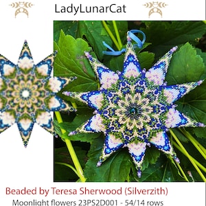 Op de afbeelding: Een stervormige ornament van kralen in tinten blauw, groen, wit en roze. De ster is gemaakt met peyotesteek en heeft een ontwerp van 14 rijen. De ornament is gelabeld "Moonlight flowers 23PS2D001 - 54/14 rows" en "Beaded by Teresa Sherwood (Silverzith)".
