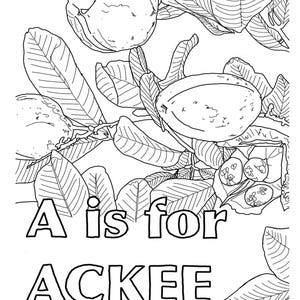 Baby’s 1st Caribbean ABC Colouring Book Keepsake - Etsy