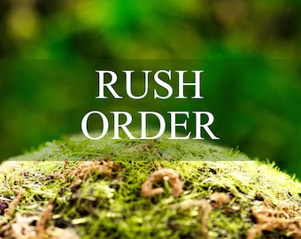 Rush order