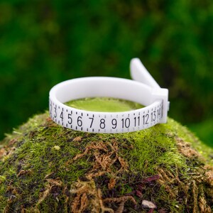 May include: White plastic ring size gauge with numbers 2 through 15 printed on it. The gauge is sitting on a bed of green moss.