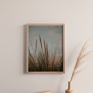 IMPRESIÓN FOTOGRÁFICA DE CALIDAD / Hierba de dunas de arena y playa 01 / gastos de envío gratuitos / Tamaños 7x5, A4 y A3 / Fácil de enmarcar / Decoración de pared para el hogar o la oficina