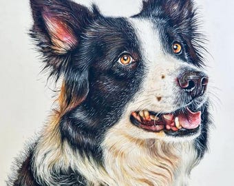 Cyfrowy wydruk artystyczny z border collie, realistyczny portret psa, drukowana sztuka ścienna