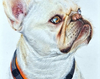 Spersonalizowany portret zwierzęcia ze zdjęcia, oryginalna ręcznie rysowana sztuka pastelowa, portret zwierzaka, sztuka dzikiej przyrody, portret konia, spersonalizowany prezent ze zwierzęciem