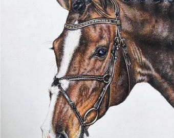 Oryginalny portret konia, rysunek pastelami miękkimi, sztuka ścienna z motywem konia, 24 × 30 cm