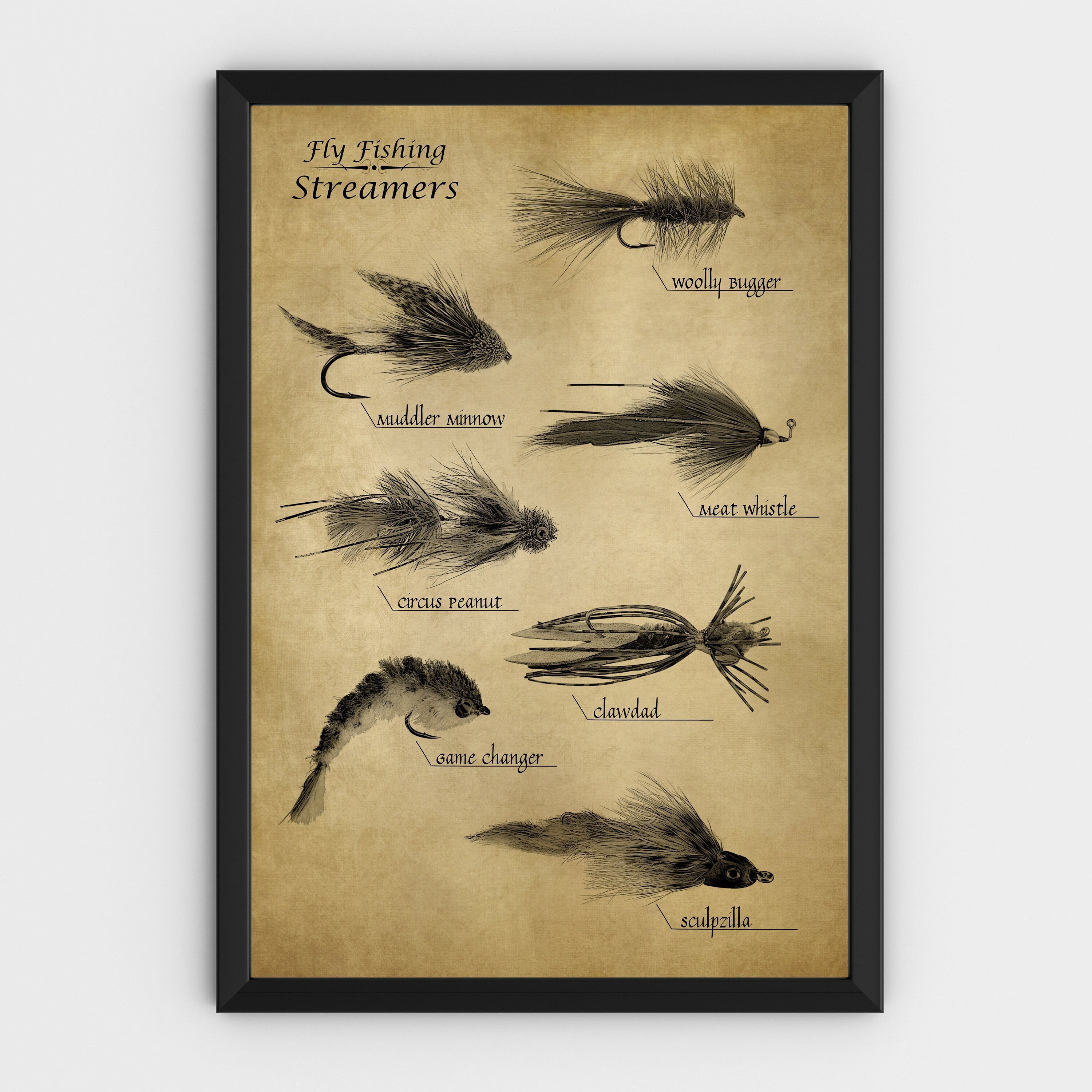 Fly Fishing STREAMERS Poster, Wall Art, Diagram, Illustration 