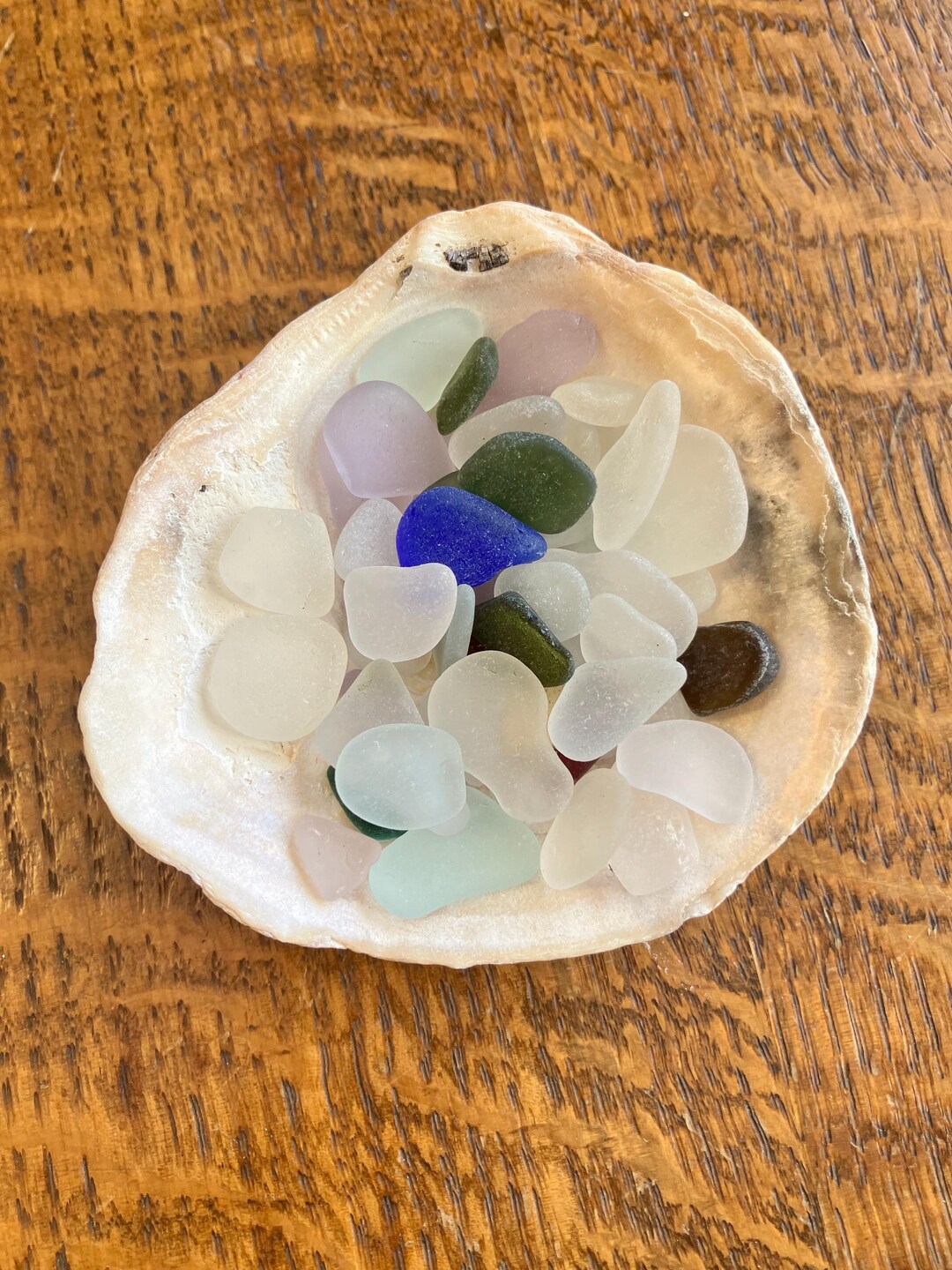 Maine Sea Glass in a Natural Ocean Shell - Etsy