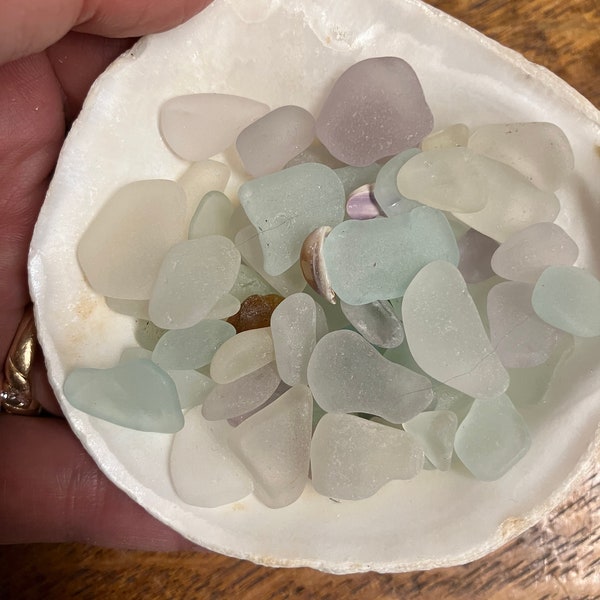 Seaglass nuggets in a sweet oyster shell from Harpswell, Maine