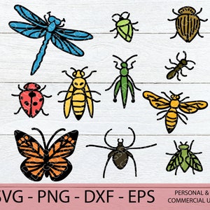 Insect Svg Files Bundle - Bug Clipart - Layered Insect Cut File - Butterfly svg - Bee png - Kid Summer Svg - Grasshopper SVG - Dragonfly dxf