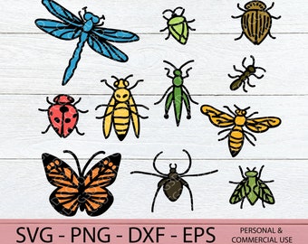 Insect Svg Files Bundle - Bug Clipart - Layered Insect Cut File - Butterfly svg - Bee png - Kid Summer Svg - Grasshopper SVG - Dragonfly dxf