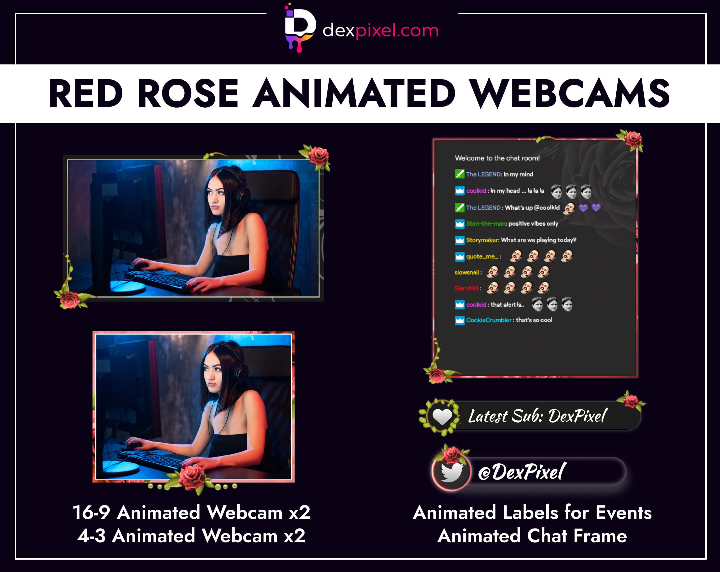 Rose webcam. Rose webcam
