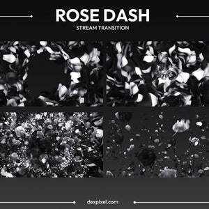 Black and White Rose Dash Stream Übergang | Fallende Blütenblätter Strom Übergang | Niedliche Valentines Flower Stream Übergang | Vtuber Stinger