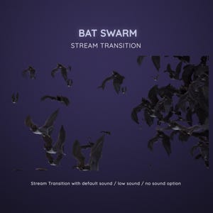 May include: A swarm of bats flying in a dark purple sky. The text "BAT SWARM STREAM TRANSITION" is at the top of the image. The text "Stream Transition with default sound / low sound / no sound option" is at the bottom of the image.