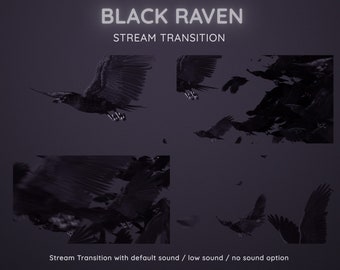 Black Raven Stream Transition | Halloween Witch Transition | Flying Ravens Horror Transition OBS | Spooky Stinger Twitch