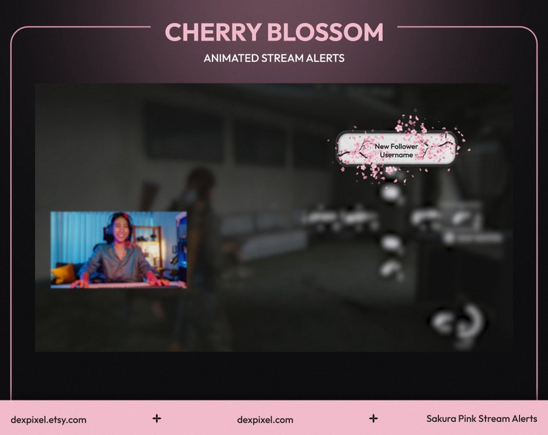 Pink Sakura Cherry Blossom Animated Stream Alerts | Twitch Animated Alert | Livestream Floral Alerts | Spring Petals Falling Alerts