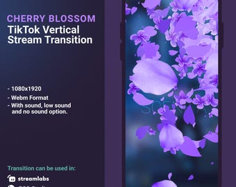 Purple Sakura Cherry Blossom OBS Stinger – Animated Vertical Stream Transition for OBS and TikTok
