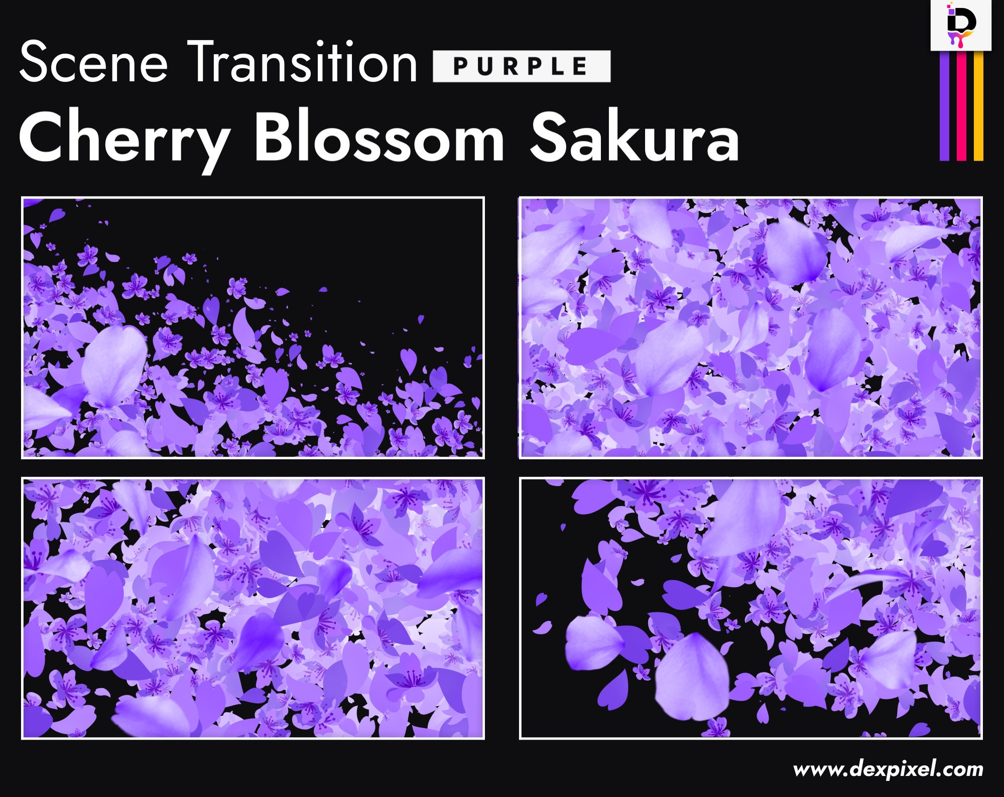 Purple Sakura Cherry Blossom Transition. OBS Stinger, Animated Stream Transition. Scenes Stinger. Twitch Transition