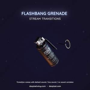 Grenade Flashbang Video Game Stream Transition | Shooter FPS Stream Transition | Twitch Vtuber Transition OBS | Stinger Twitch