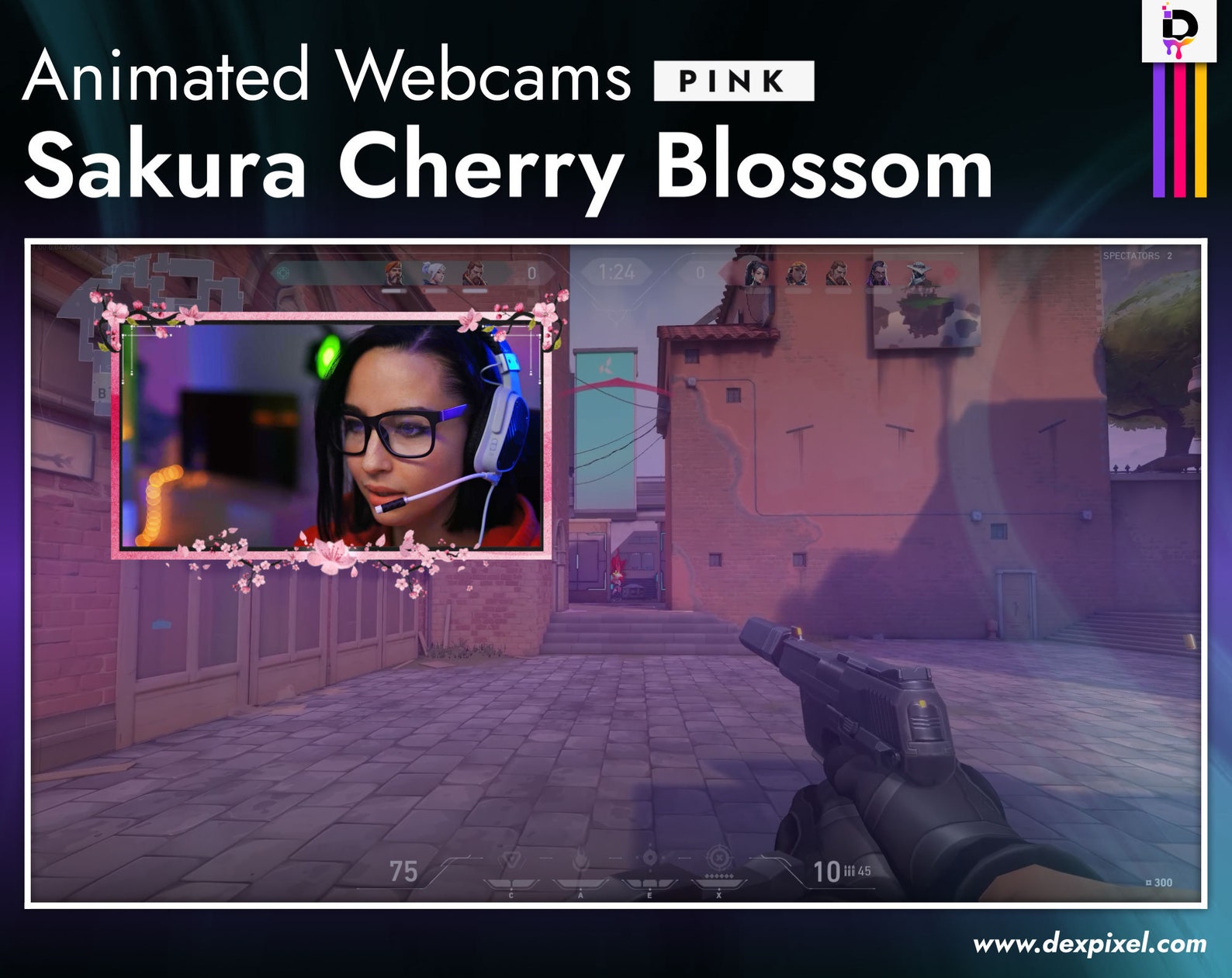 Pink Sakura Animated Cherry Blossom Stream Webcam. Twitch - Etsy