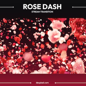 Red Rose Dash Stream Transition | Falling Petals Stream Transition | Cute Valentines Flower Stream Transition  | Vtuber Stream Stinger