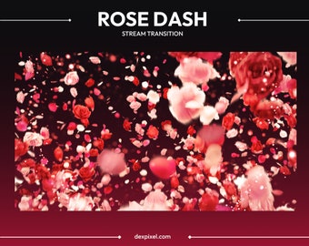 Red Rose Petals Stream Transition | Elegant Falling Flowers